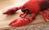 [dokidoki] Crayfish, American Crayfish, Shrimp, Lobster, and Tiger Prawns Plush Toys, Cushion, Body Pillow, Cute, Fun, Party Supplies, Christmas