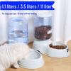 Large Capacity Automatic Pet Feeder and Water Dispenser for Dogs and Cats