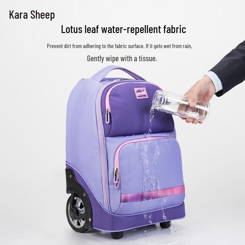 Carany Rolling School Backpack