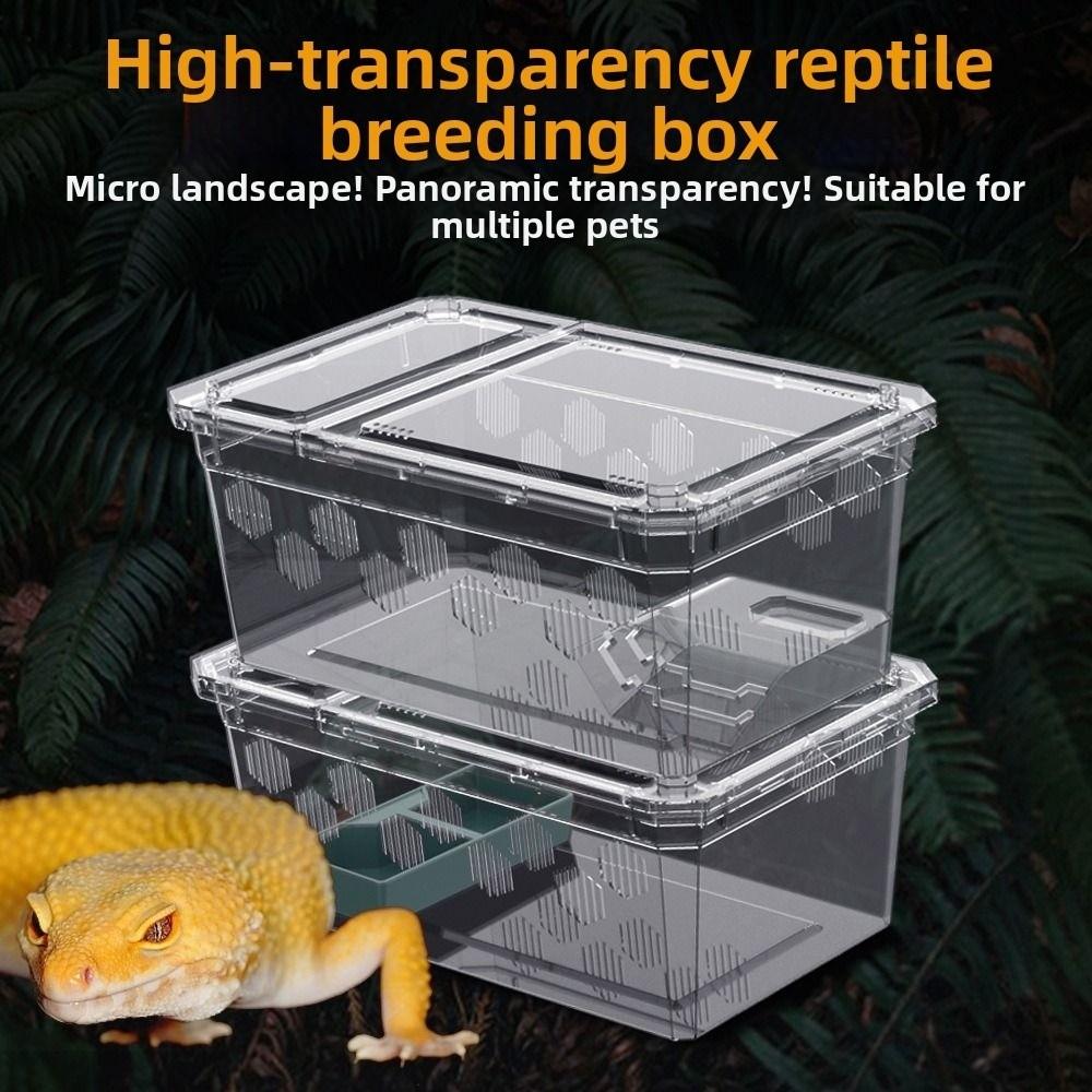 Breathable Reptile Breeding Box  For Lizards Geckos Snakes Spiders Scorpions Beetles Centipedes