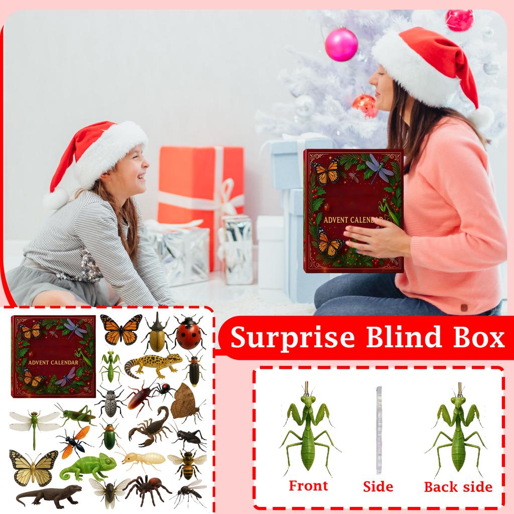 2D Plane+airplane Box +24PC+ Fitness Decoration Advent Christmas Countdown Box Calendar