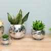 Disco Ball Hanging Flower Creative Hanging Basket, Plant Planting Basin, Garden Decoration
