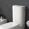 Push Button Toilet Push Button Smooth ABS Dual Flush