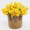 Artificial Mums Bundle Realistic Faux Daisies with Bendable Stems UV Resistant Fall Flowers for Autumn Home Window Box Vase Outdoor Decoration