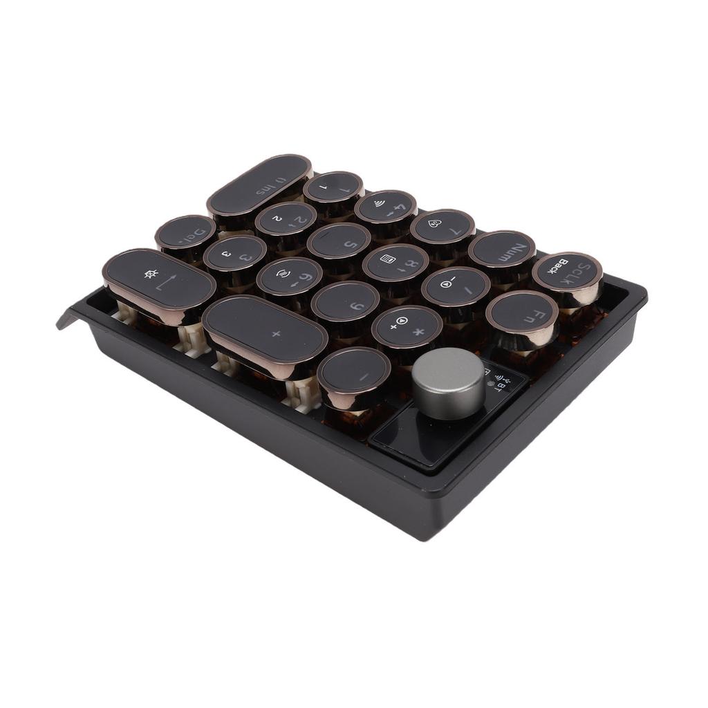 Retro Mechanisches Nummernblock 19 Tasten 3 Modus Bluetooth 2.4G Hot-Swap Kabelloser Nummernblock mit RGB-Hintergrundbeleuchtung für Laptop