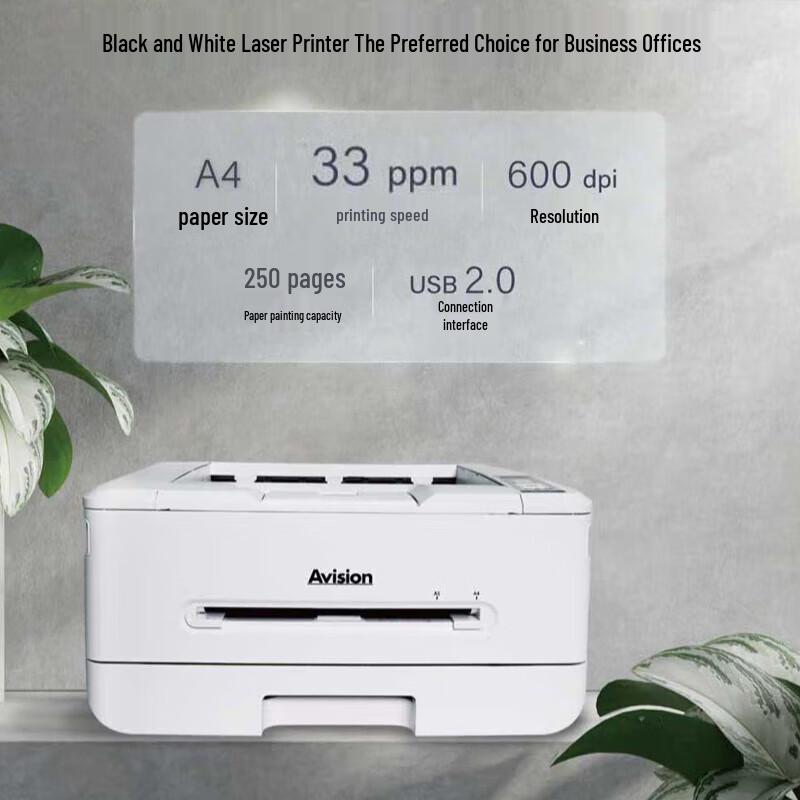 

Avision AP33DW Black and White Laser Printer CN plug (adapter included)