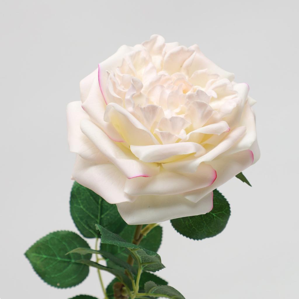 Simulation feel moisturizing Austin rose, home decoration living room ornament fake flower