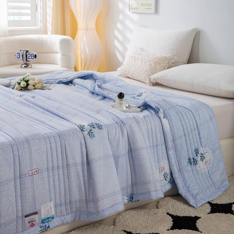 

Jieliya Mugwort Soft Summer Quilt