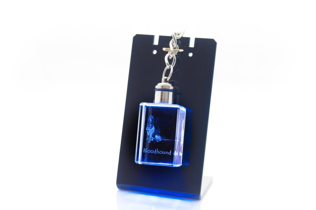 Bloodhound, St. Hubert Hound, Sleuth-hound - Crystal Key Ring with Dog Photo, Illuminated Key Ring, Unique Gift by Art-Dog Brand
