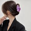 Hair Claw Conch Shape Back Head Shower Clip Strong Grip Medium Size Shark Hair Claw Versatile Hair Accessory
