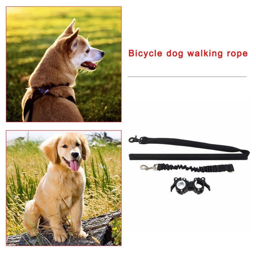 top dog leash