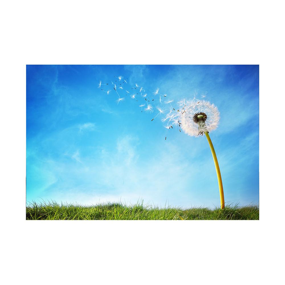 Romantic Dandelion Background Tapestry for Events,Party Banner,Home Decor,Weddings,Photo Booths