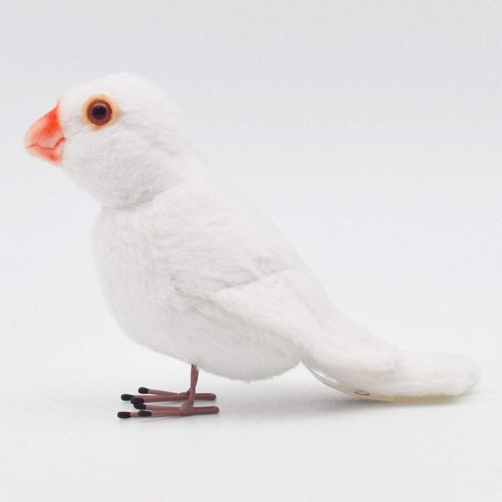 BH7244 HANSA White-winged Bunting 13