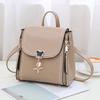 Internet celebrity small square bag double shoulder women's backpack popular bag 2025 new trendy versatile shoulder messenger bag women's bag