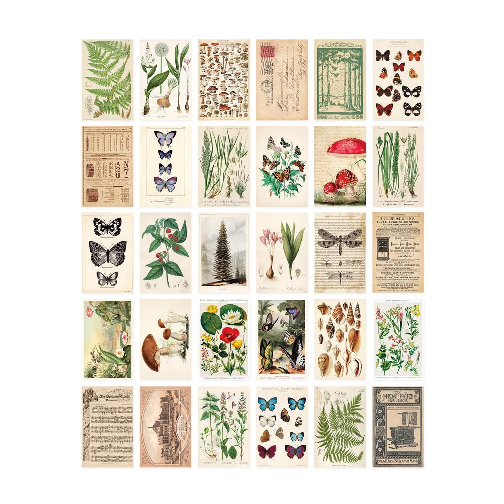 Wintertime Crafts Vintage Collection Postcard Pack of 30 Retro Style Nature and Ephemera Set Botanical, Postcards.