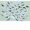 45pcs/pack Kawaii Whale Label Stickers Decorative Stationery Stickers Scrapbooking DIY Diary Album Stick Label School Supplies