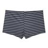 Regatta Womens/Ladies Aceana Striped Bikini Bottoms