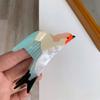 Acetate Animal Hair Claw Bird Acetate Shark Clip Creative Cat Hair Clip  Daily