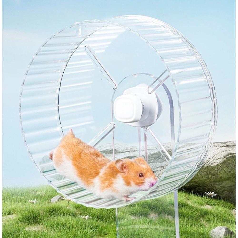 

with Stand Wheel Hamster Exercise Transparent Hamster Exercise Toy New Pet Running Wheel Gerbil Orange