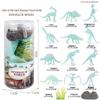 Frog Life Cycle Model Set: Tadpole to Frog Educational Toys for Kids