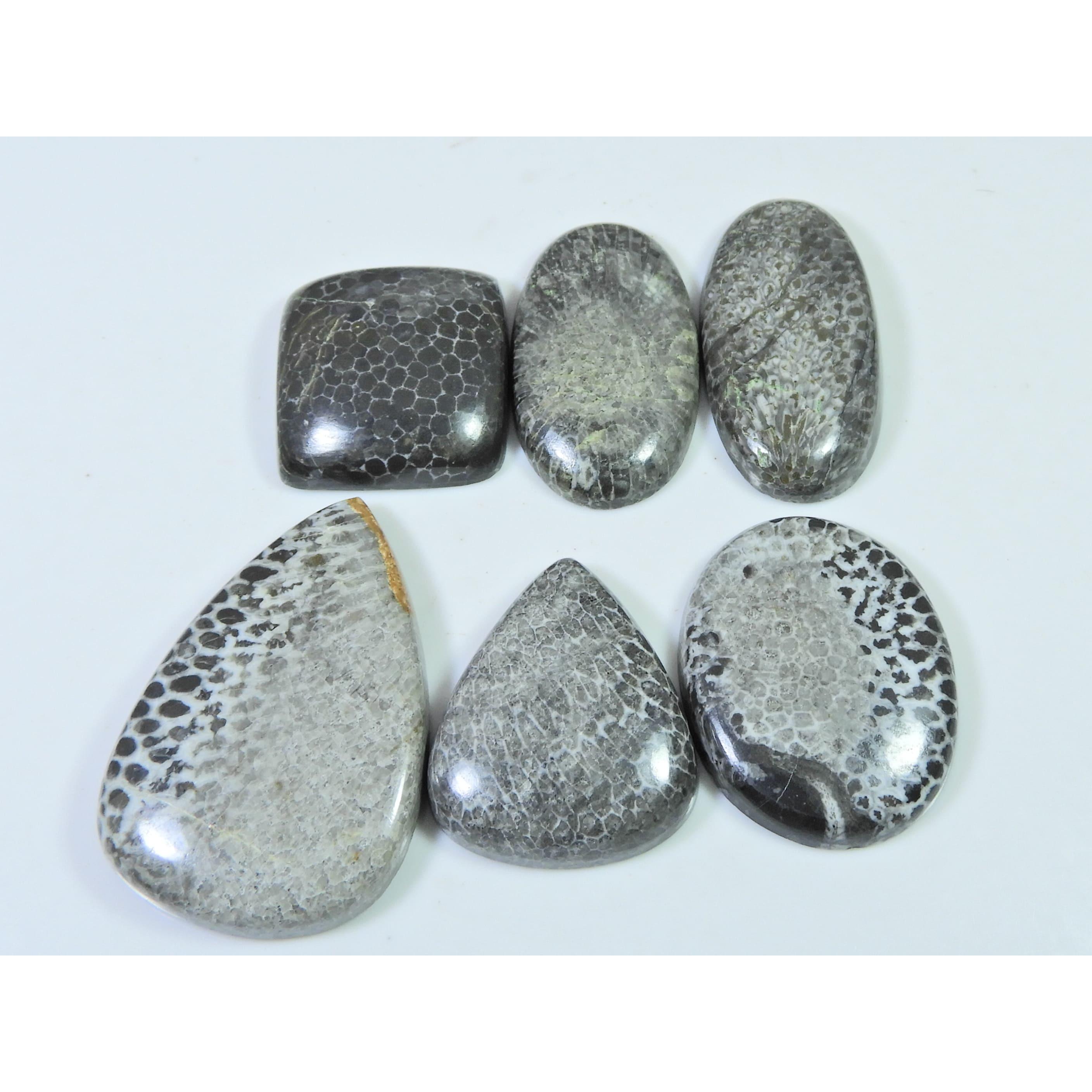 

232 карата. Натуральный черный ископаемый коралл микс кабошон россыпь драгоценных камней лот 06 шт. C-630