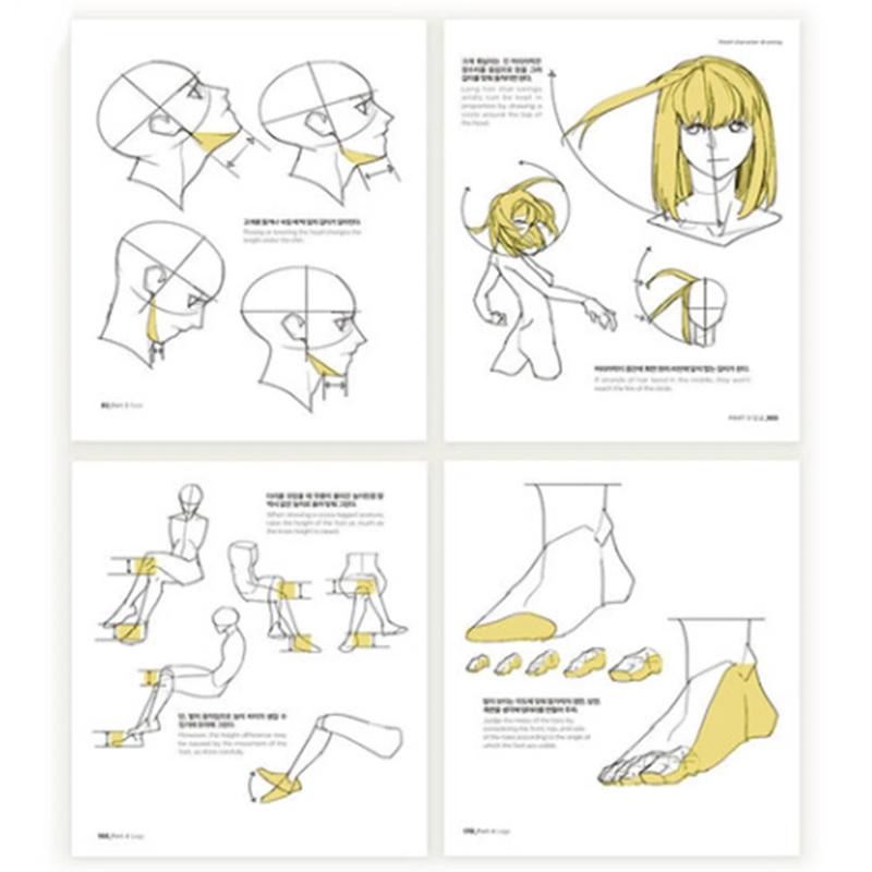 TACO Bod Kresba postavy od Lezhin Průvodce kreslením lidského těla Korejština Angličtina