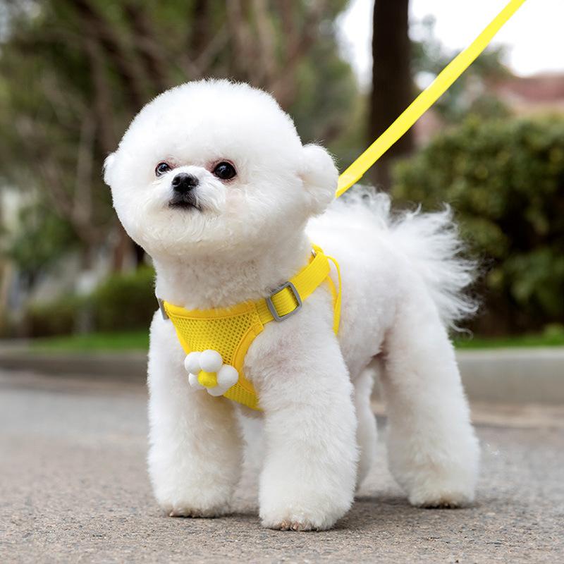 Spring and Summer Dog Three-dimensional Accessories Grid Breathable Vest Type Leash Cat Four-season Pet Chest Strap