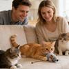 Compact Design Cat Plush Mouse Toy Stuffed Mouse Plush Mice Playthings Cat Chew Toy  Indoor Cat