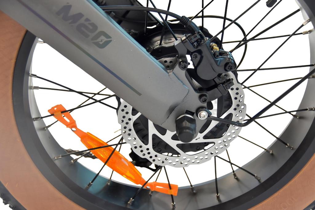 DYU M20 Adult E- Bike 1000W Motor 48V18.2AH Battery 20Inch Anti-Puncture Fat Tires All-Terrain Off-Road E-Bicycle Beach Mountain Snow City Commuting