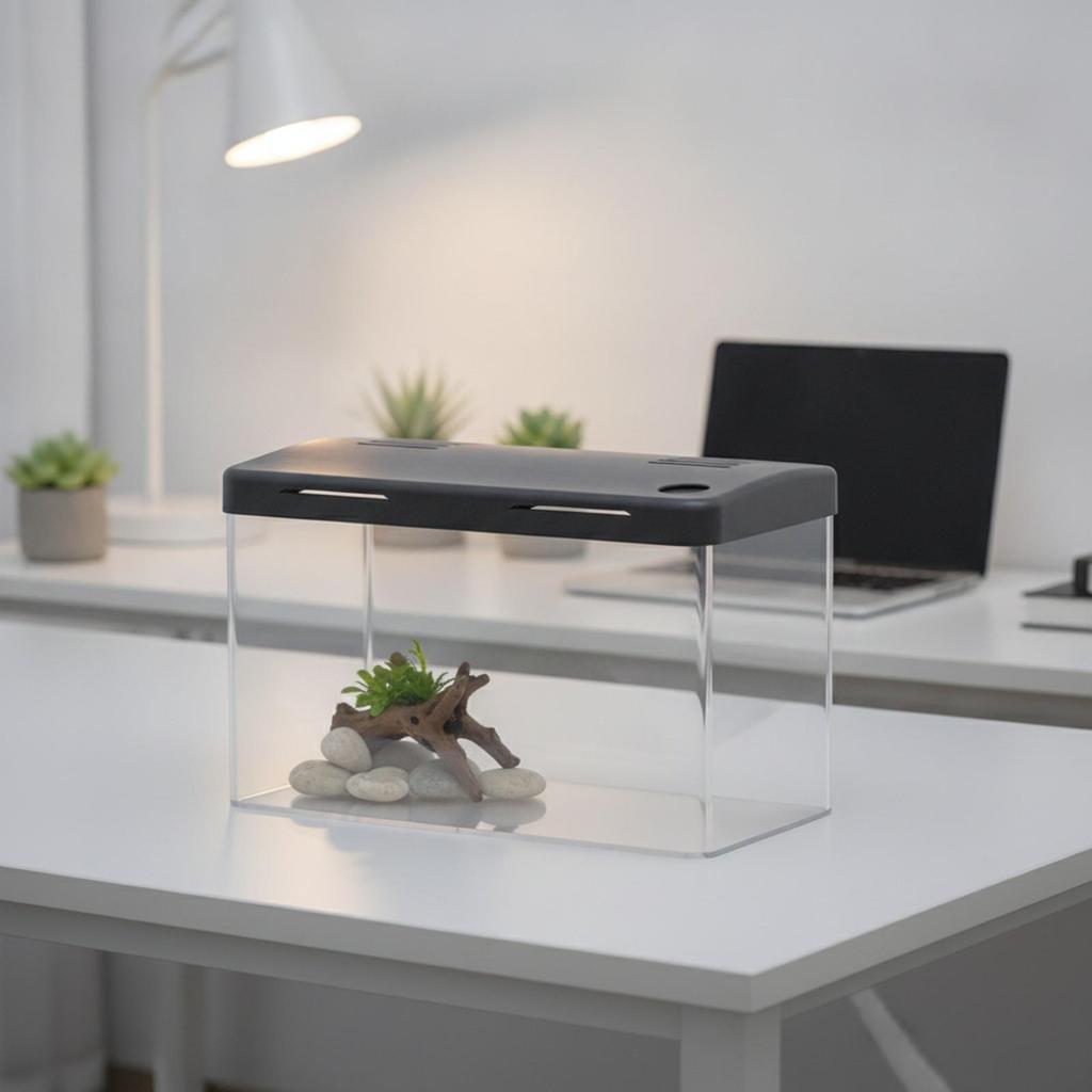 Desktop Aquarium with Dark Lid Covered RoundedCorner Acrylic SpaceSaving Clear tank