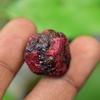 Natural Red Ruby Loose Gemstone Exclusive 67.10 ct Uncut Rough for Lapidary and Gem Collections