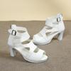 Cutout Fish Mouth Sandals Summer New Round Toe Open Toe Rear Zipper Platform Waterproof Non-Slip Heels
