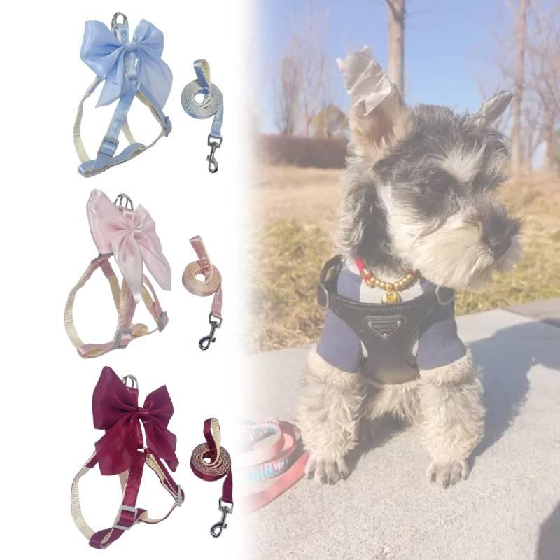 Pet Dog Leash Set With Bright Silk Large Bowknot Chest Harness For Small Dogs And Cats