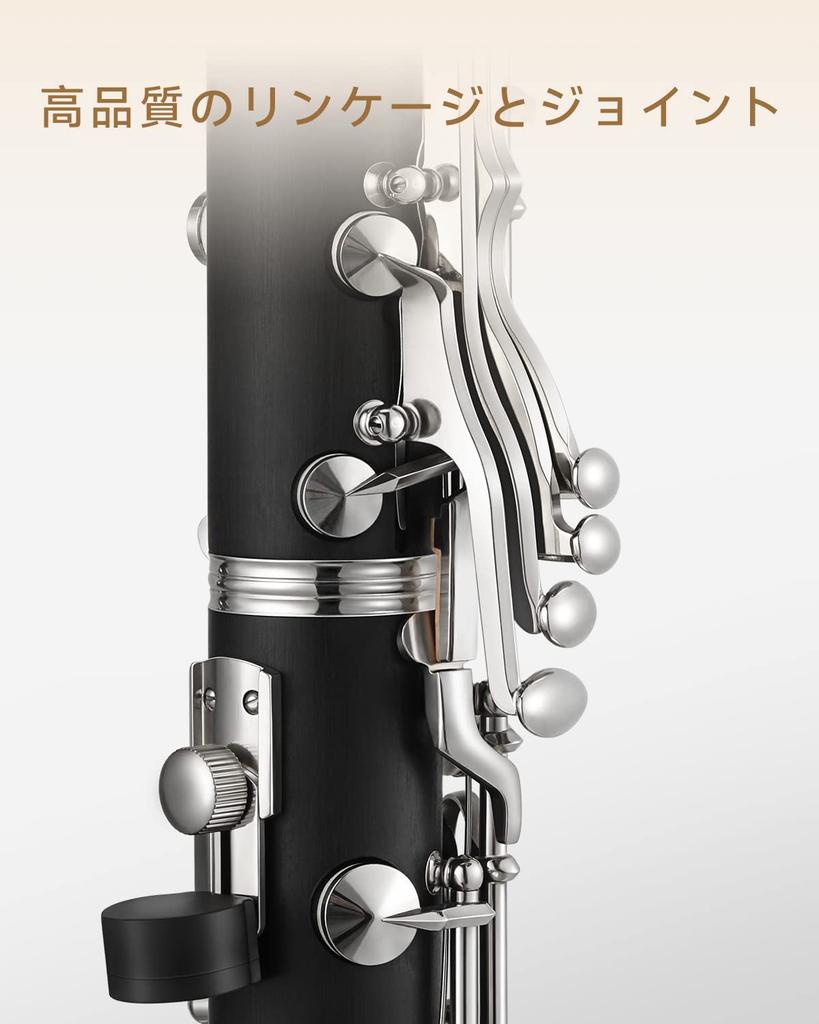 Eastar Clarinet Nickel Plated B Tone Clarinet ABS Resin Tube Boehm Type Care Included For Beginners Black ECL-300 School Opening Present