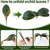 3PCS Artificial Orchids Leaves - Lifelike Fake Phalaenopsis Orchids Leaves with Plant Root, Green Leaf Plants for Flowers Arrangements Pot Shelf