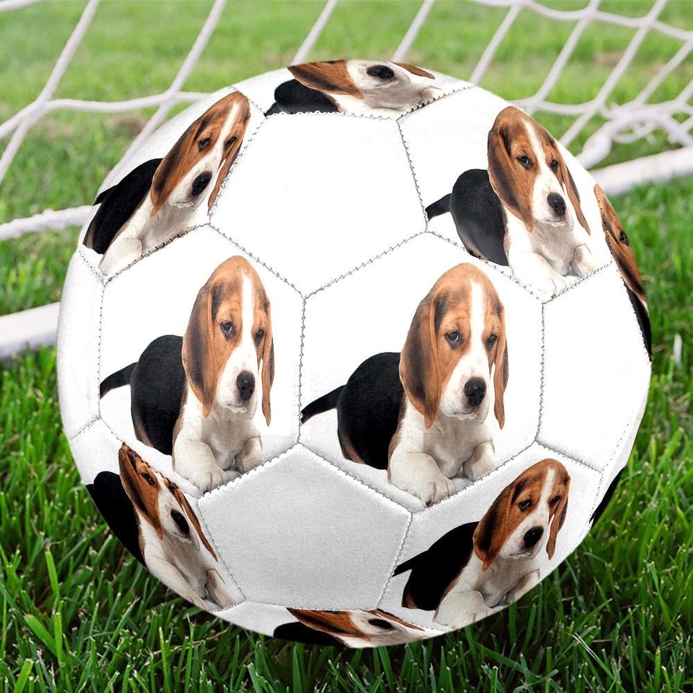 Cute Puppy Indoor Size 5 Soccer Ball Colorful Machine Stitched PVC Competition Ready Durable High-Bounce