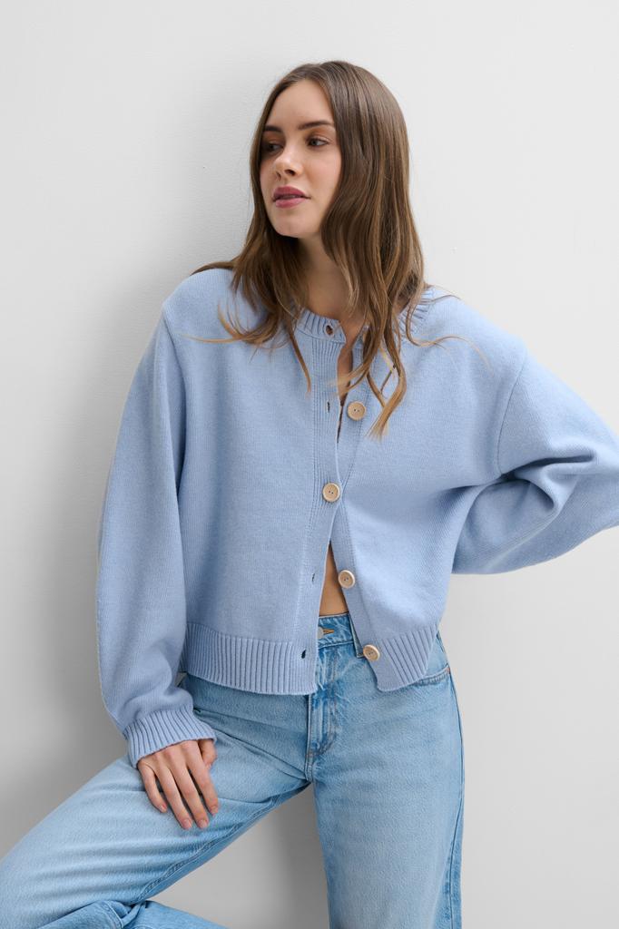Calm Cashmere and Merino Wool Cardigan Blue /