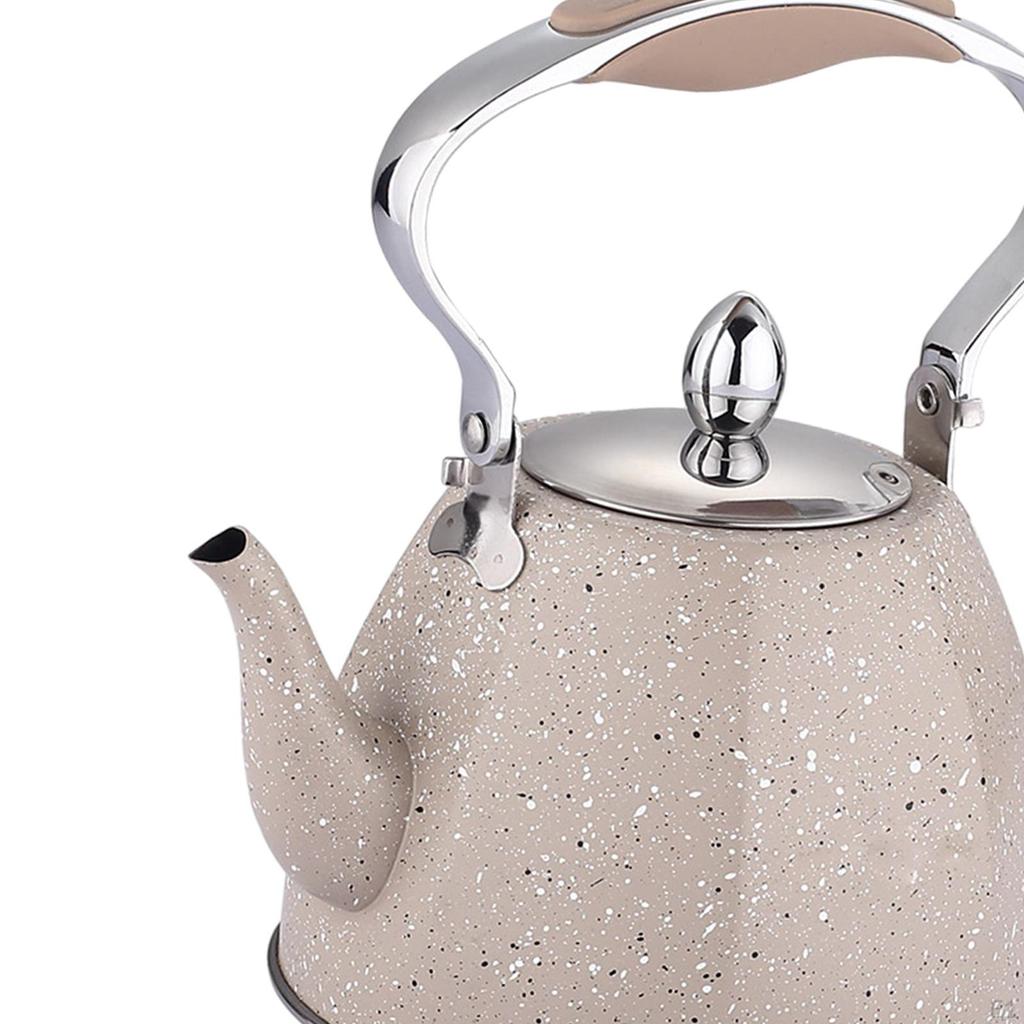 1L Capacity Teapot Loose Leaf Boiling Water Kettle for Kitchen Home