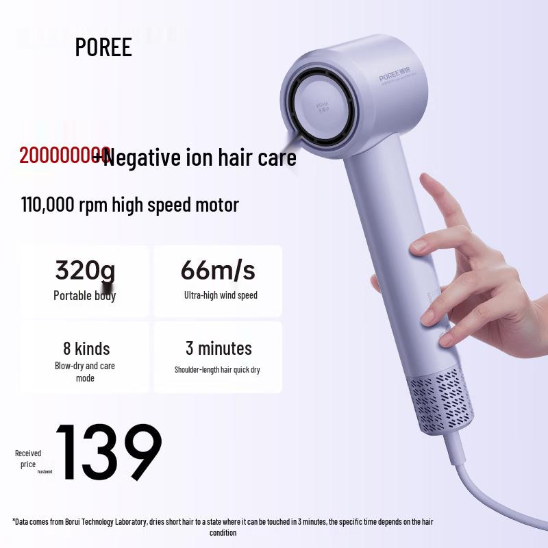 FLYCO Borei High-Speed Ionic Hair Dryer CN plug (adapter included)