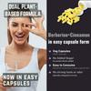 Berberine with Ceylon Cinnamon Capsules | Herbal Blend | 60 Caps