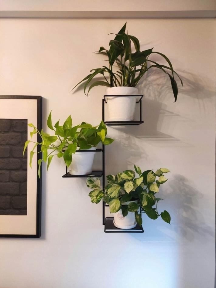 Jungle Wall Flower Stand for 3 Pots, Metal Plant Holder, Green Wall, Flower Hanger