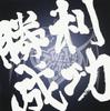 CD VICCESS  Shouri Seikou  HPTC0006 Hiro Pro 2014 Japan ObiJapanese PopRock Used