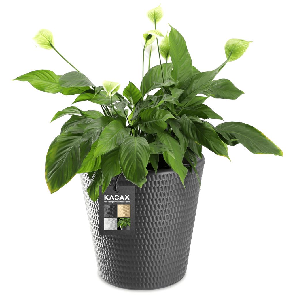 KADAX Pot Planter Cover Anthracite 30 Cm