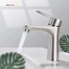Rong Song Basin Faucet