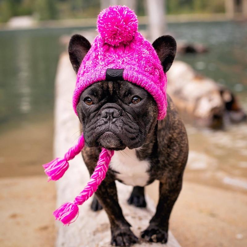 Pet Dog Winter Knitted Warm Hat Head Windproof Hat With Cute Wool Braids Outdoor Snow Protectio Warm Hat Pet Knitted Accessories