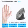 Ergonomic Wireless Vertical Mouse 2.4 G+BT5.1 Two mode Connection 2400DPI Silent Design
