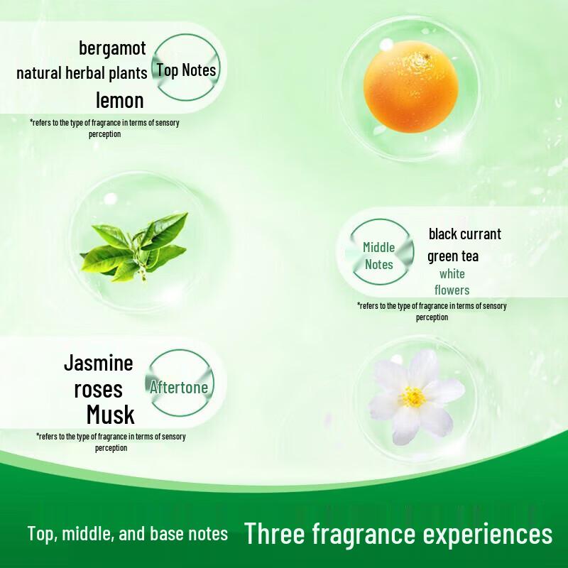 Dettol Jasmine Green Tea Healthy Shower Gel