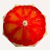 1pc Blood Orange Pattern Auto Folding Umbrella - Portable Foldable Design with 8 Ribs, Durable Plastic & Iron Frame, Casual Ou