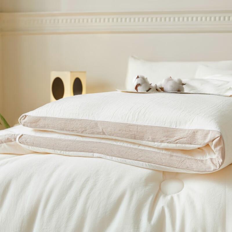 Jieliya Muji Style Soy Fiber Winter Quilt