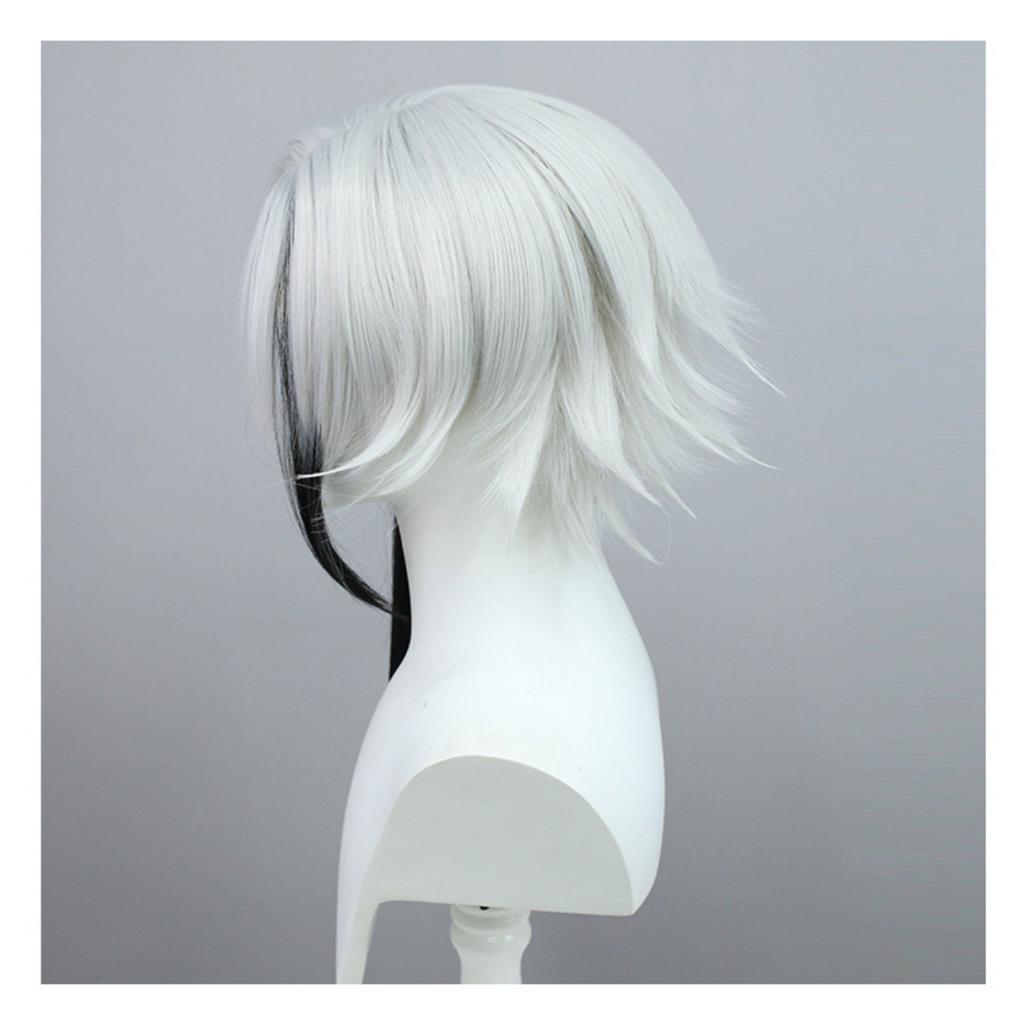 17" / 31" Silver Straight Cosplay Wig with Silicone Scalp, Heat-Resistant Synthetic Hair for Fantasy Commander
